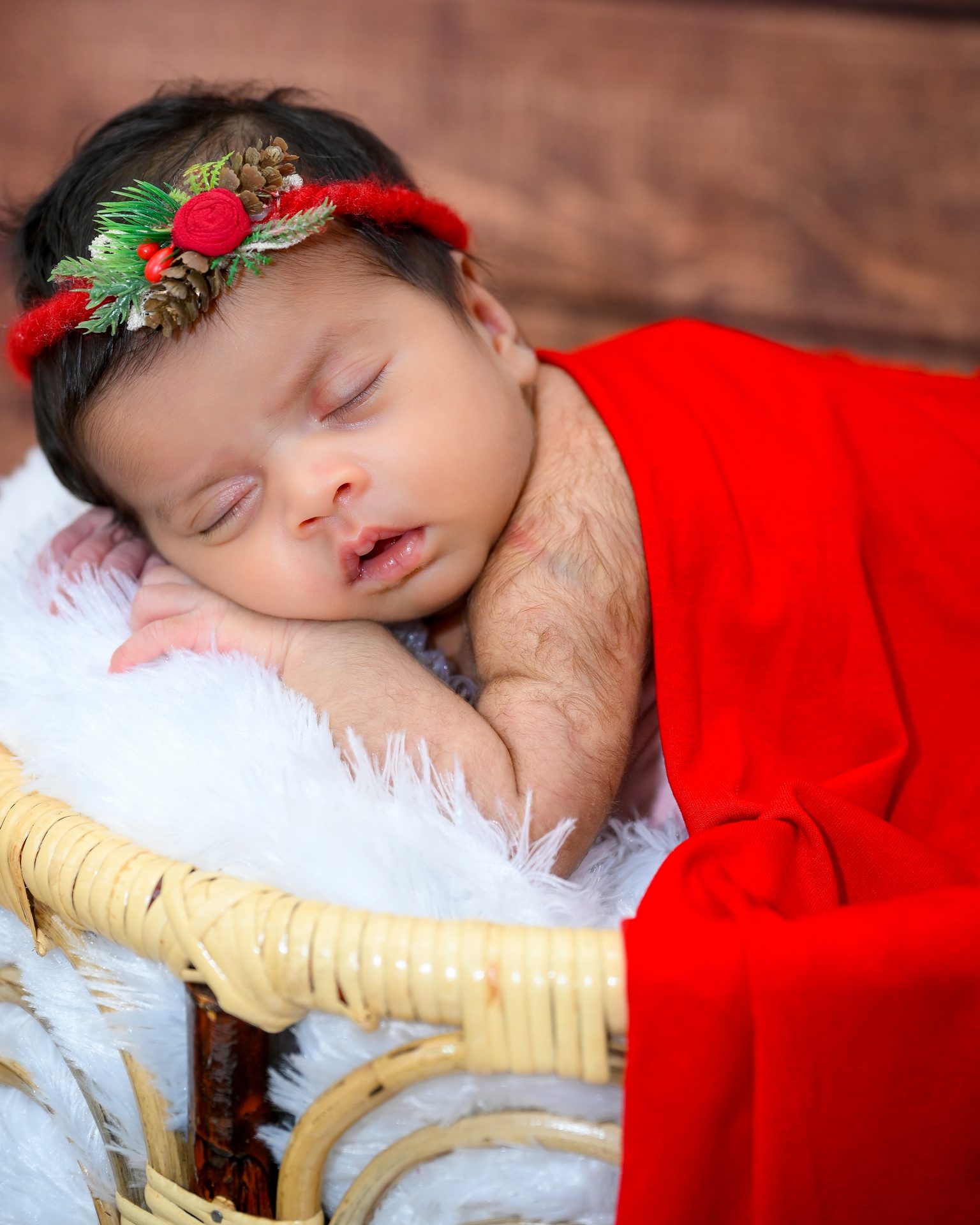 Newborn - Christmas theme